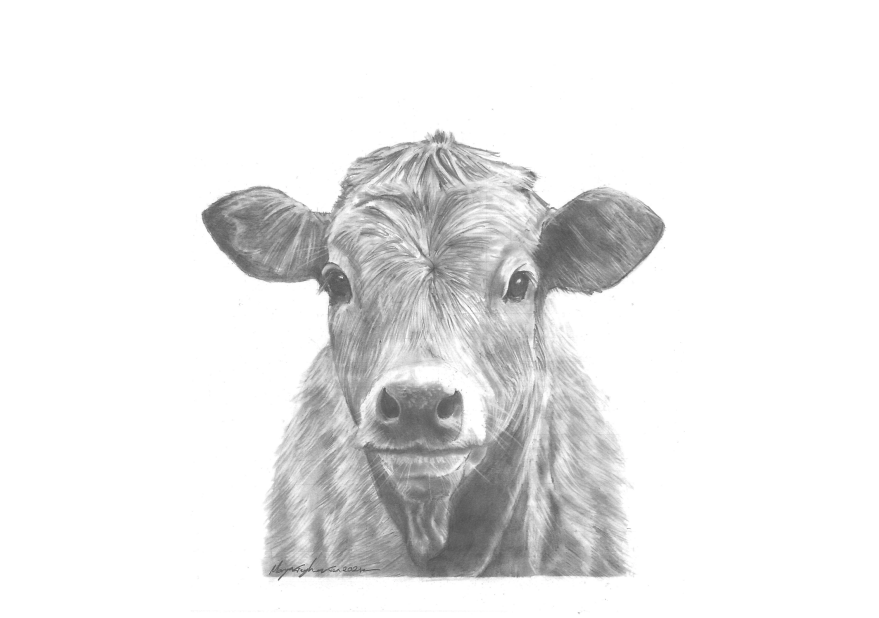 'Little Calf'