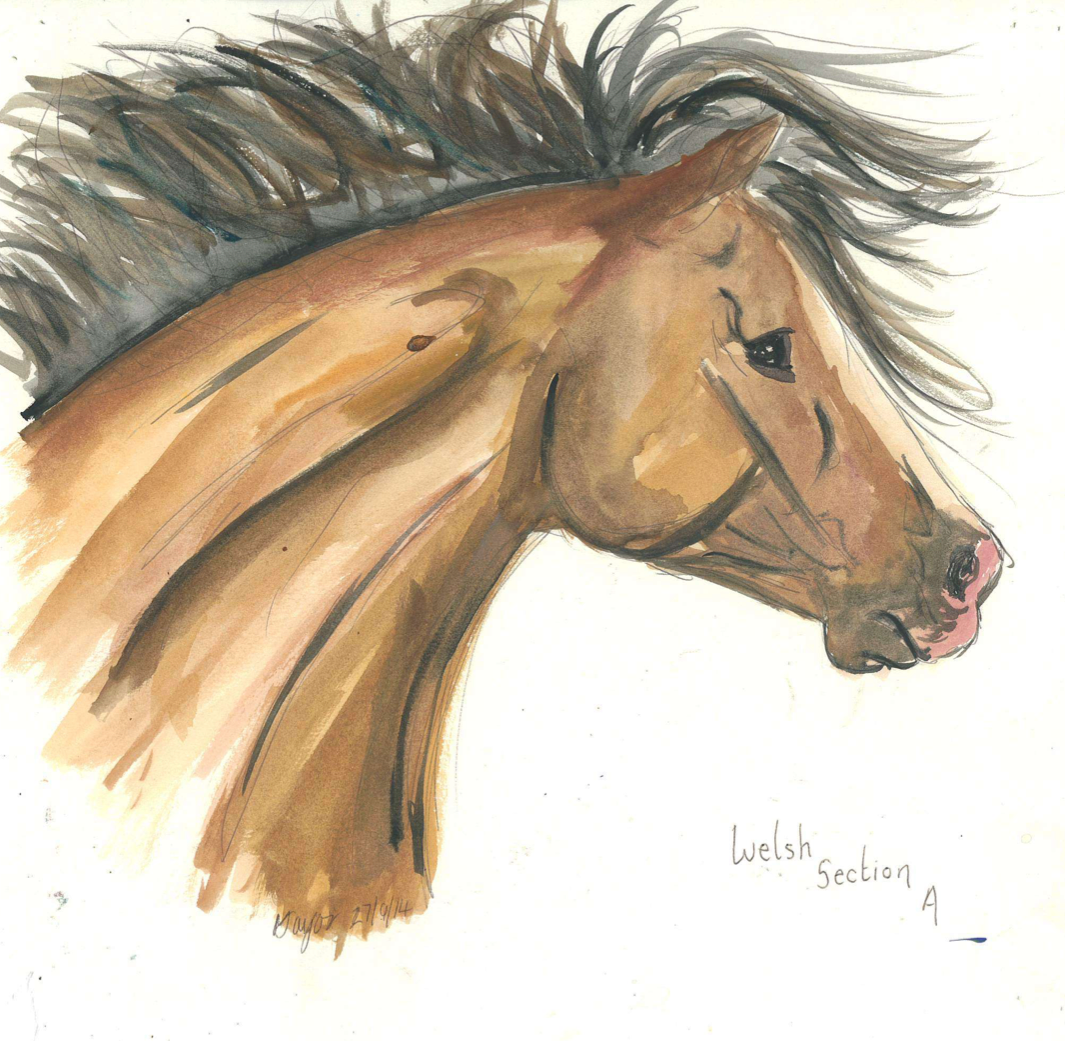 'Welsh Section A'
