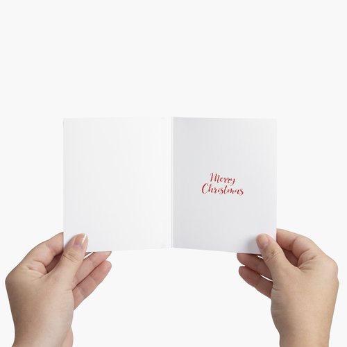 'Robin Red Breast' Christmas Card