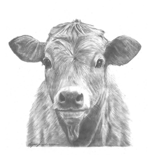 'Little Calf'
