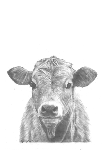 'Little Calf'