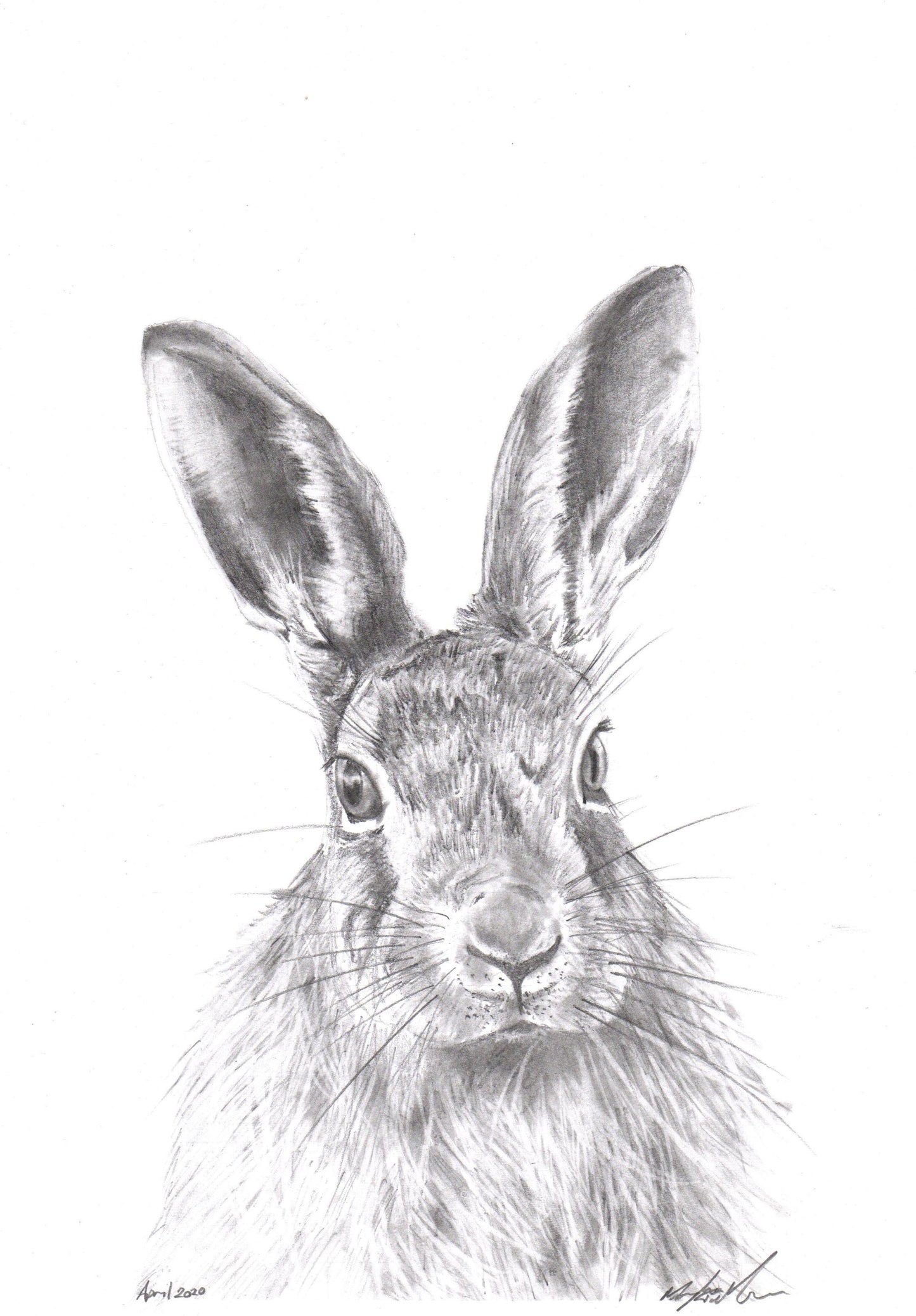 'The Hare'