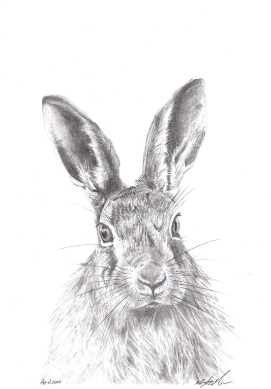 'The Hare'